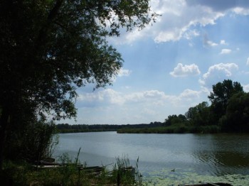 Mattyi tó1.jpg
